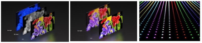 QD Mini LED & 新RGB LED & 新RGB背光系统