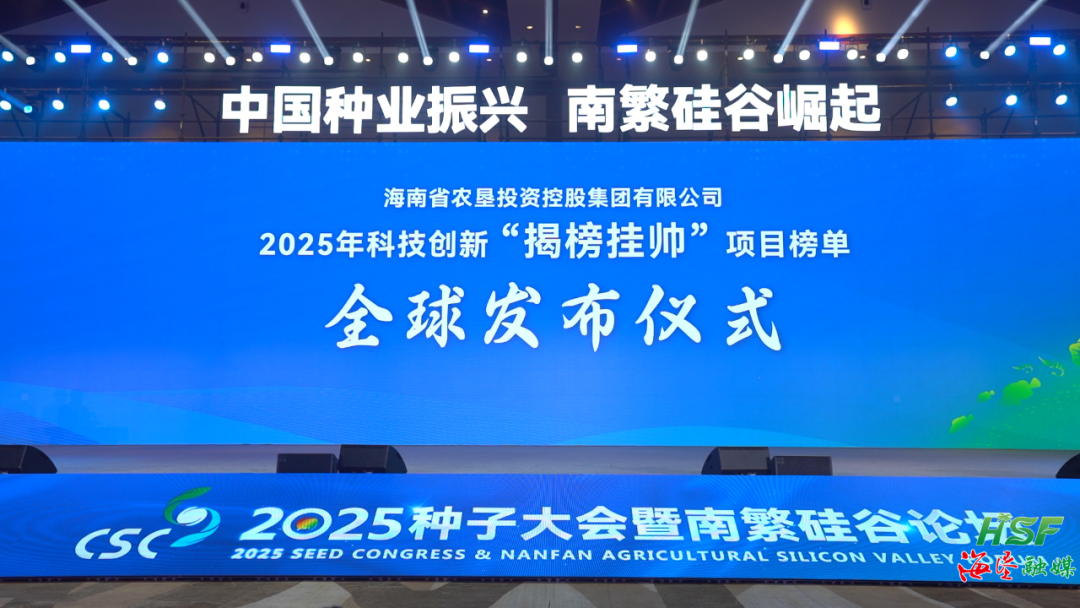 行为现场。蒙好意思顺 摄