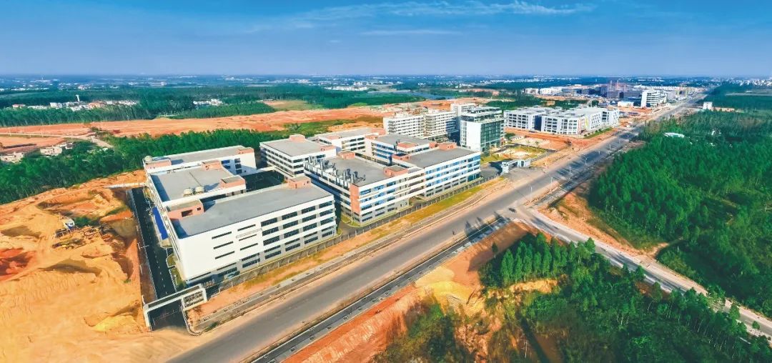 雷州经开区A区建设初具规模。图源雷州发布