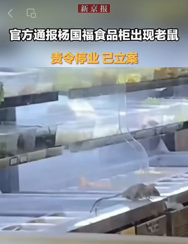 ▲杨国福麻辣烫店因食品柜出现老鼠被责令停业并立案查处。图/新京报视频号截图