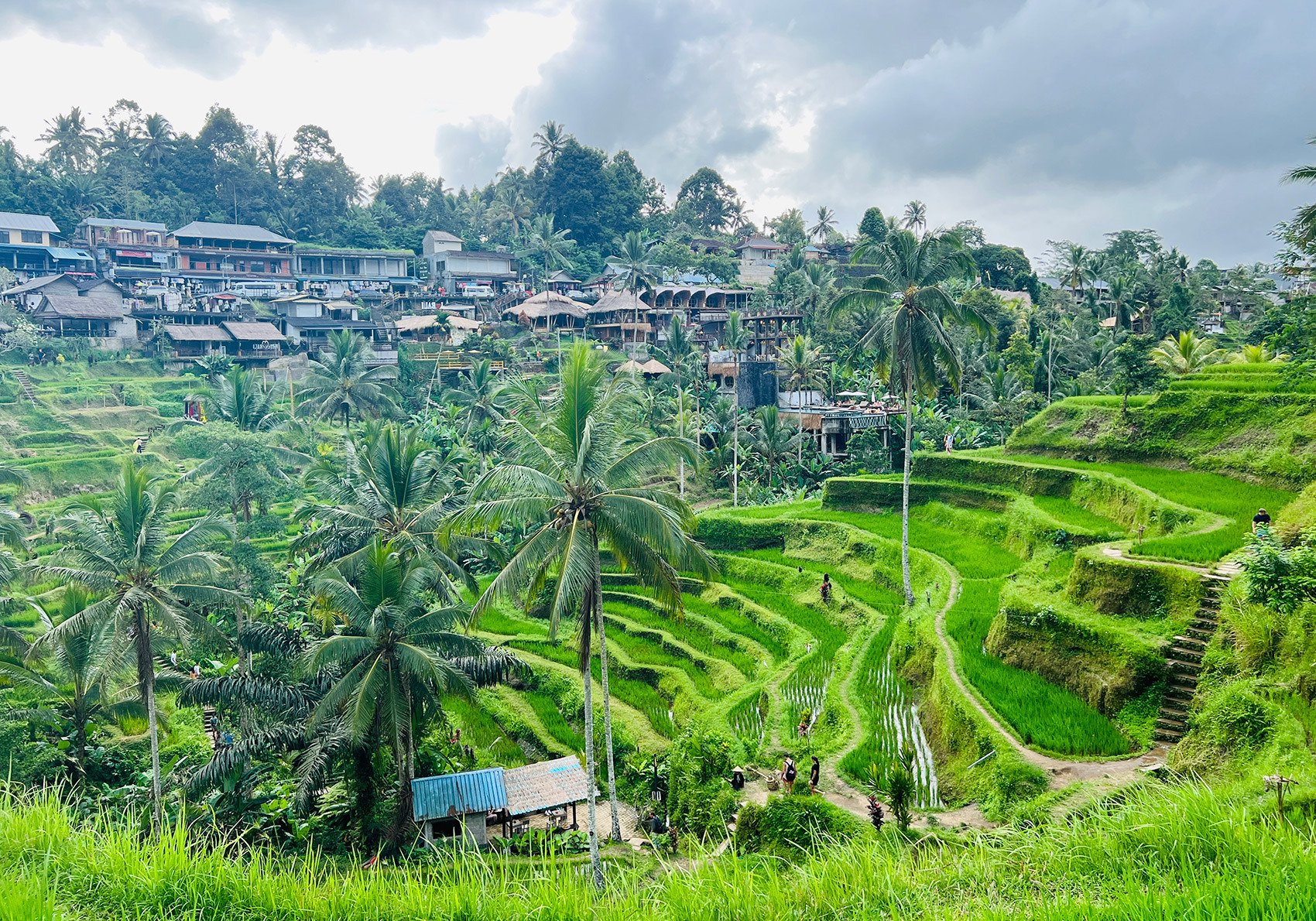 印度尼西亚巴厘岛 图片来源：每经特约记者 王睿舒 摄