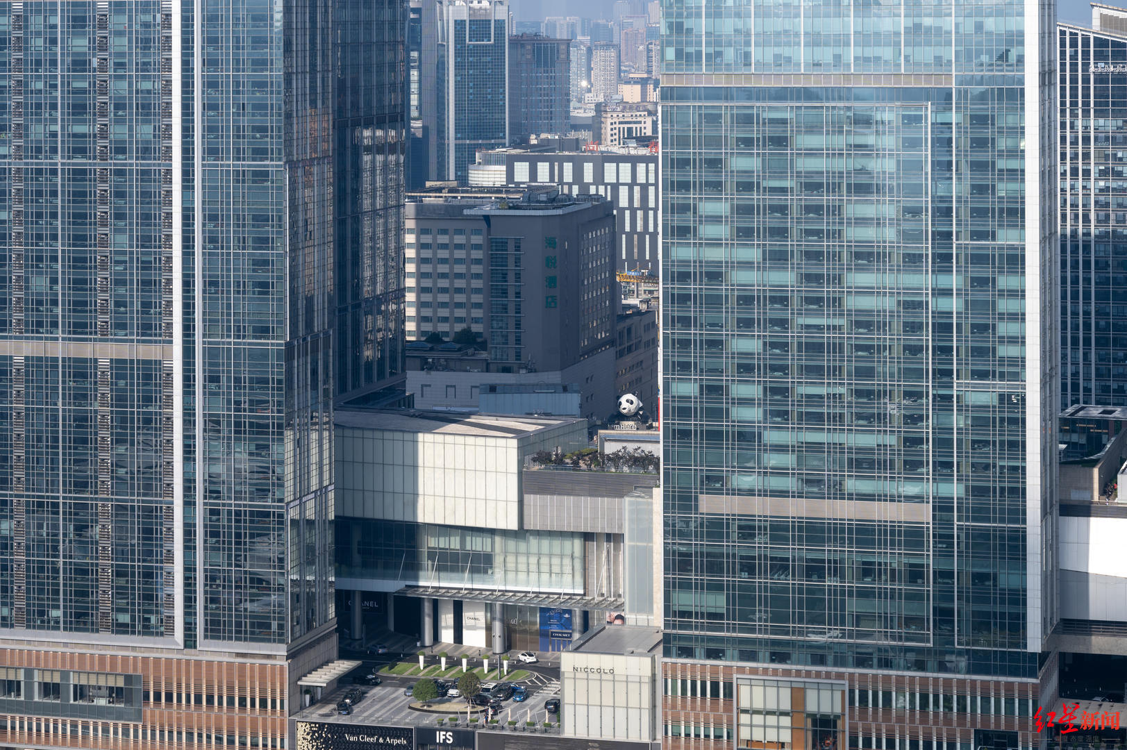 ▲IFS的爬墙熊猫