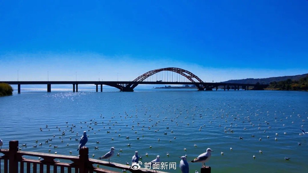 滇池是昆明著名的景点之一 图据滇池度假发布