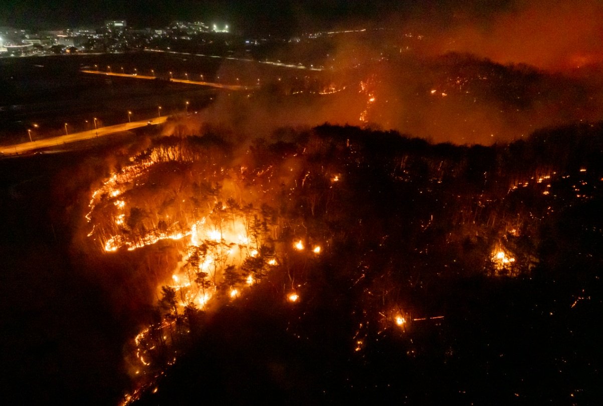 韩国东南部大型山火已造成19人死亡|山火|韩国_新浪新闻