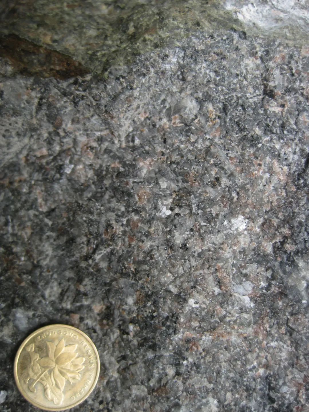 ▲ 含菱硼硅镧矿的个旧碱性岩野外露头