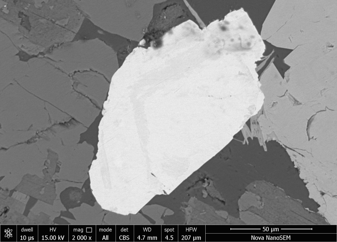 ▲ 菱硼硅镧矿背散射图
