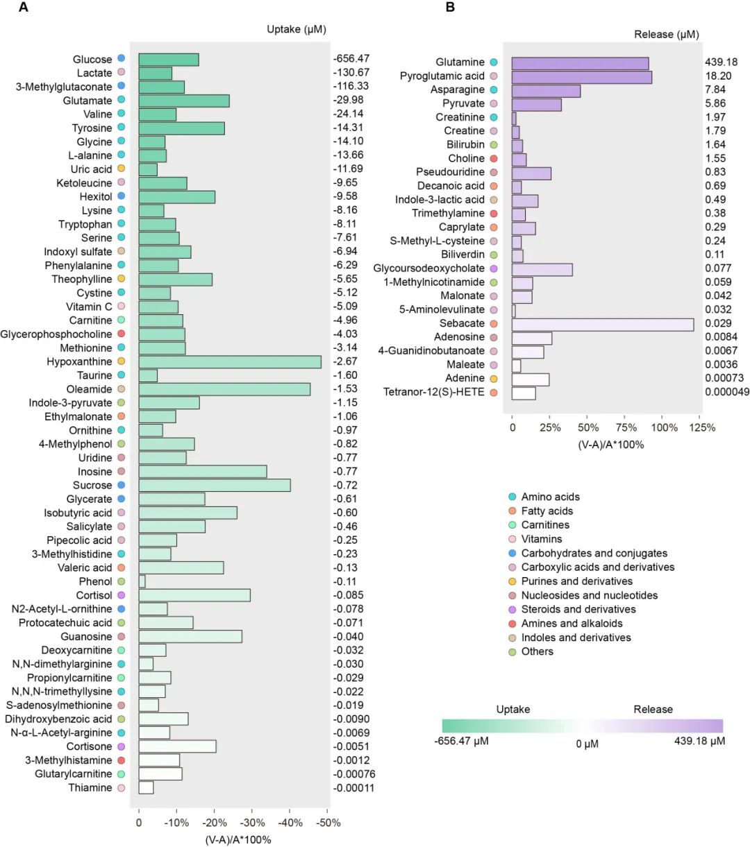 ▲ 不同代谢物在人脑中的绝对摄取 / 释放量和相对摄取 / 释放百分比