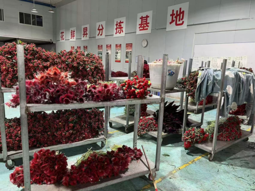 图片来源：花每刻