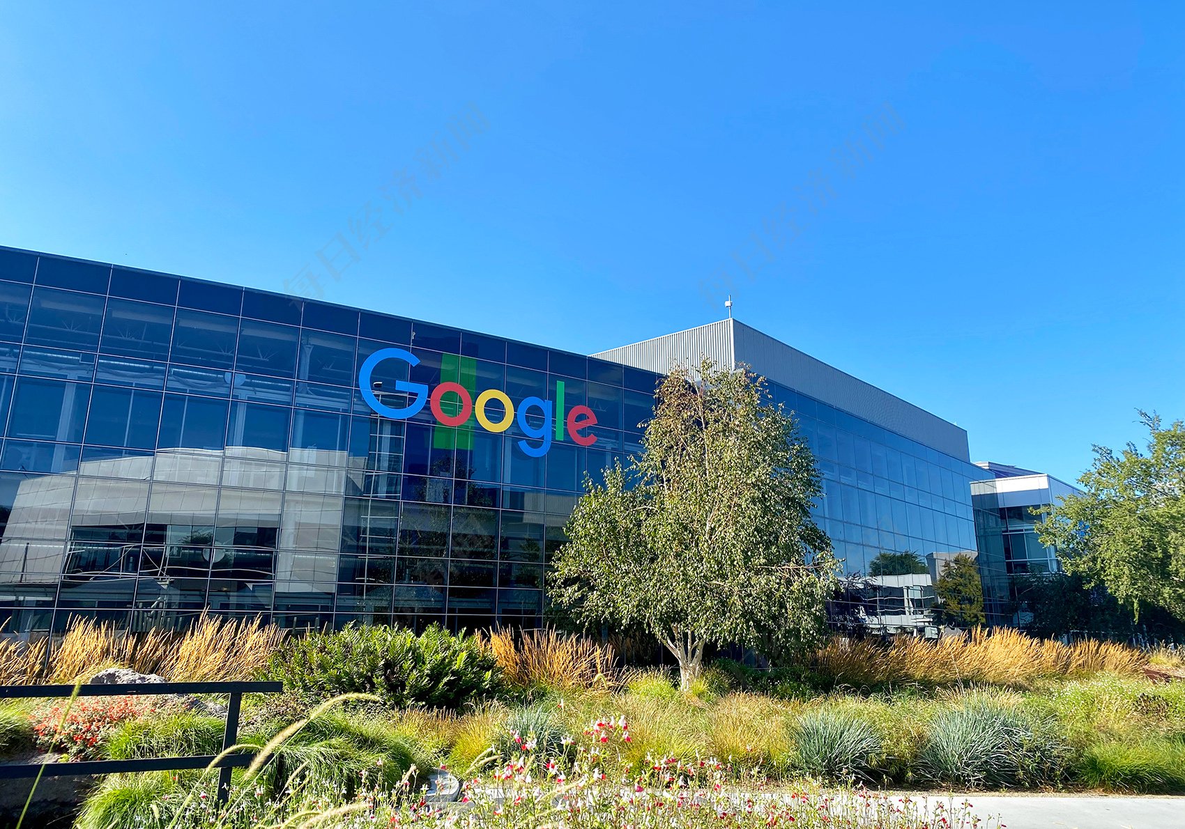 图片来源：每经记者 郑雨航摄