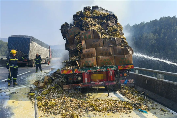 100,000个鸡蛋几乎完全烤了！散落在高速公路上，