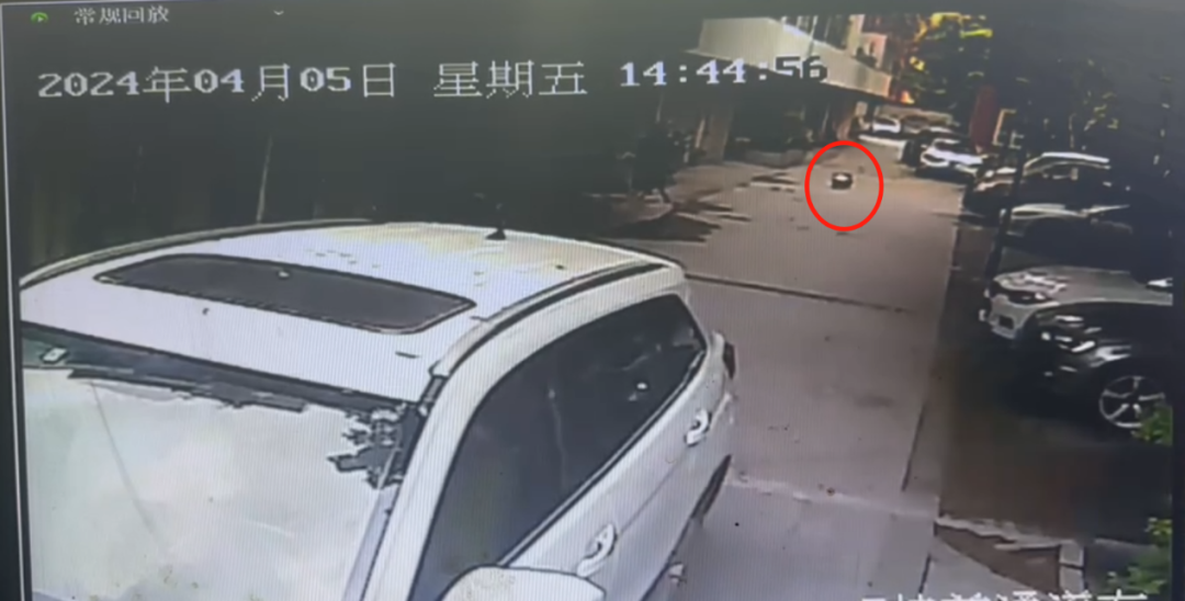 车辆启动前，女孩蹲在了小区道路上 图/监控截图