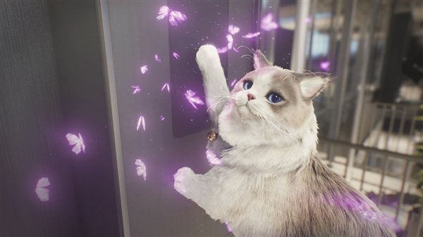 责任编辑：建嘉