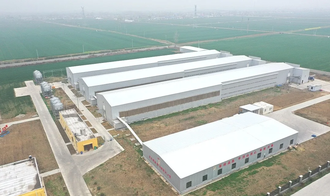 来源：蛋品世界综合、星辰视点