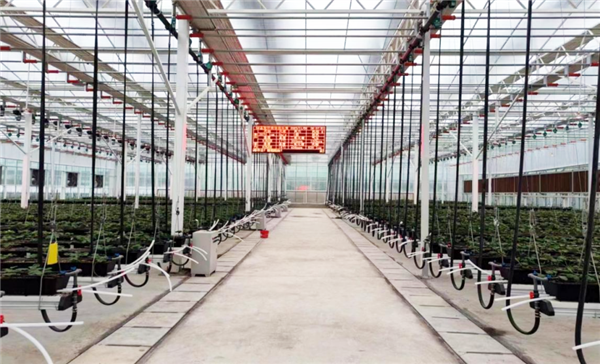 独立的Longson CPU改变了传统农业！国家制造聪明的