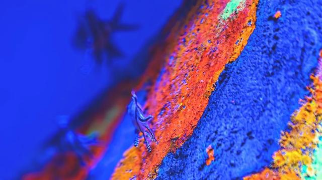 8号线江浦主变110kV综保及电力监控系统改造项目顺利完成