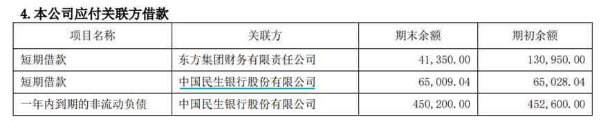 图源：东方集团半年报