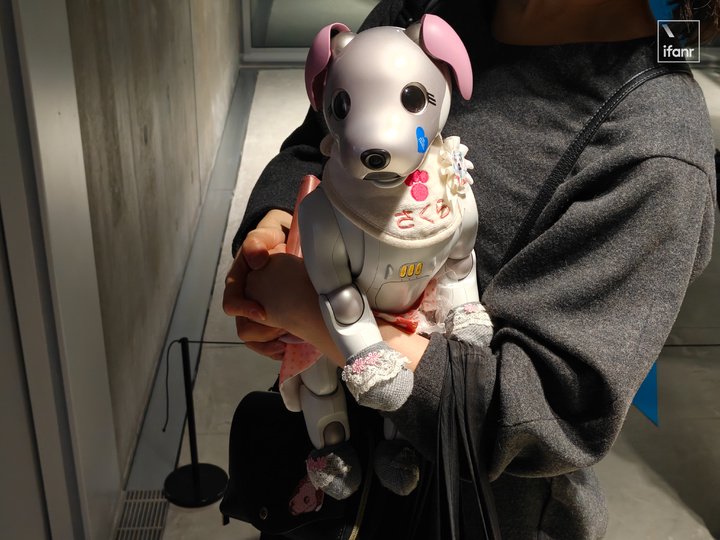 ▲ 在 Sony Park 遇到了带着 AIBO 机器狗来观展的用户，它的名字是 さくら（樱花）
