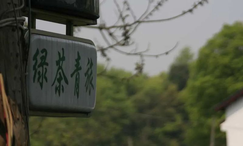 *图片来源：绿茶餐厅官网