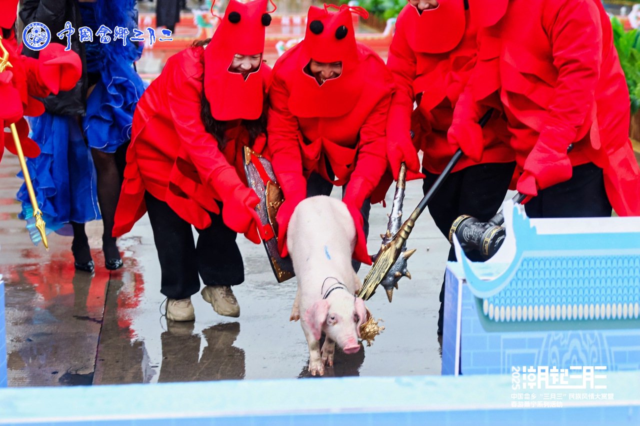  赶猪大赛现场。图源景宁县委宣传部