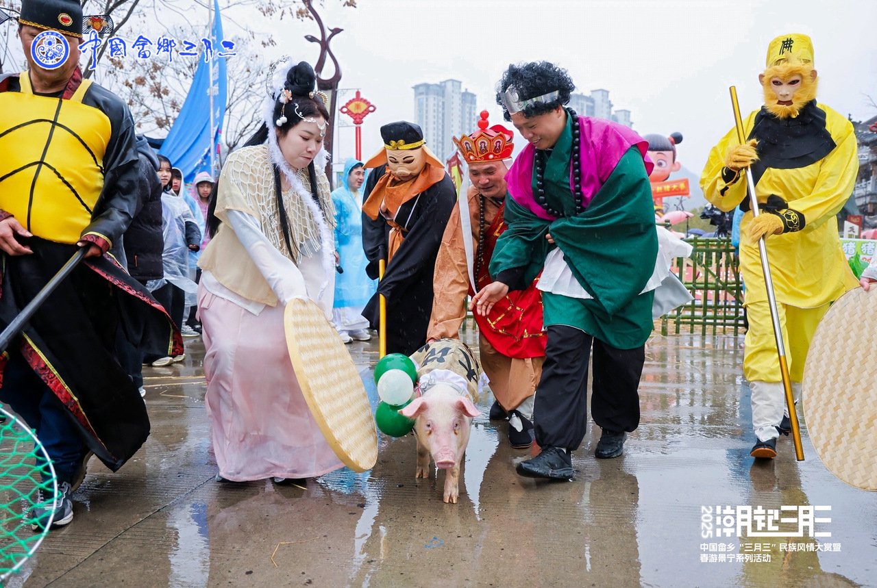  赶猪大赛现场。图源景宁县委宣传部