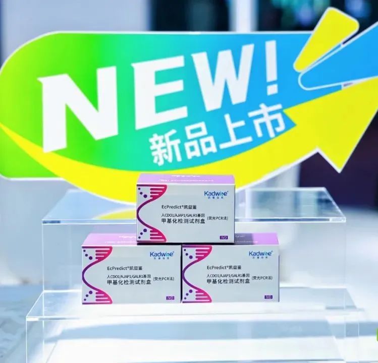 子宫内膜取样怎么取三基因甲基化检测：捕捉子宫内膜癌“隐秘信号”！_https://www.jmylbn.com_新闻资讯_第4张