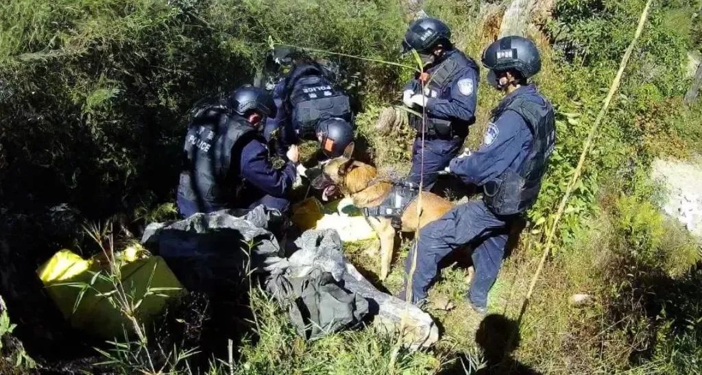 腾冲边检站移民管理警察查获涉案物资现场。