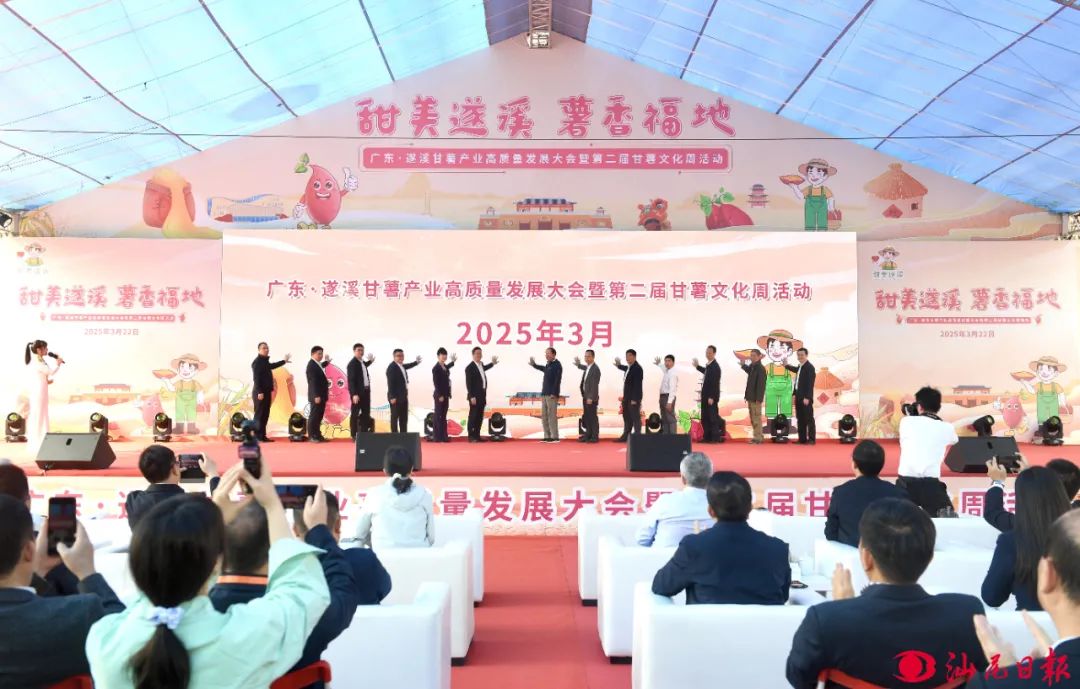 广东·遂溪甘薯产业高质料发展大会暨第二届甘薯文化周行为现场。 