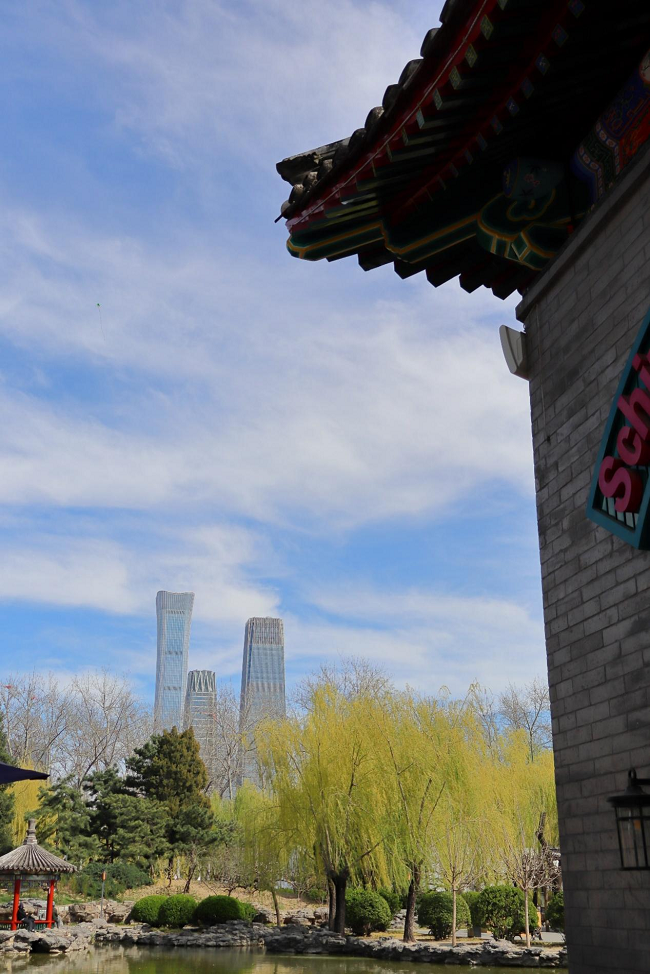 佳能EOS R100配RF-S 18-45mm F4.5-F6.3 IS STM拍摄