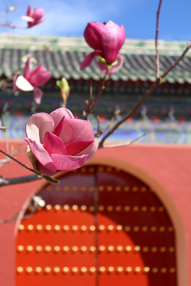 佳能EOS R100配RF-S 18-45mm F4.5-F6.3 IS STM拍摄