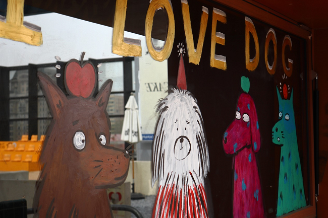 佳能EOS R100配RF-S 18-45mm F4.5-F6.3 IS STM拍摄