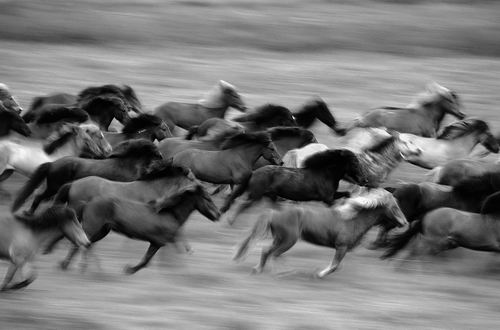 图片来源：FRANS LEMMENS