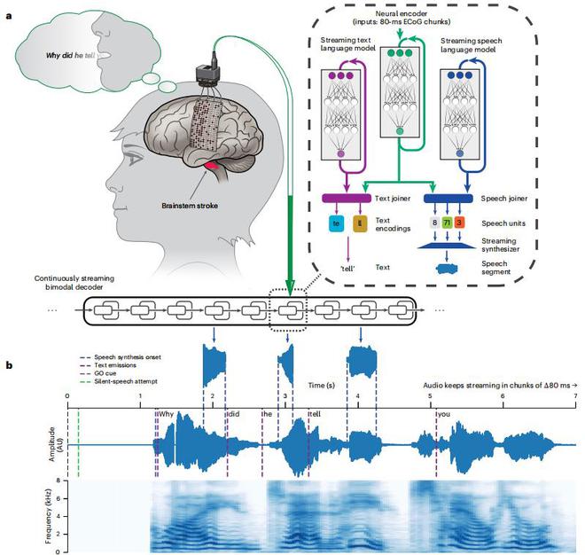 （来源：Nature Neuroscience）