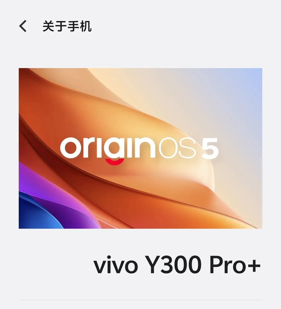 vivo Y300 Pro+ 同样搭载 OriginOS5 系统 ｜ 图片来源：极客公园