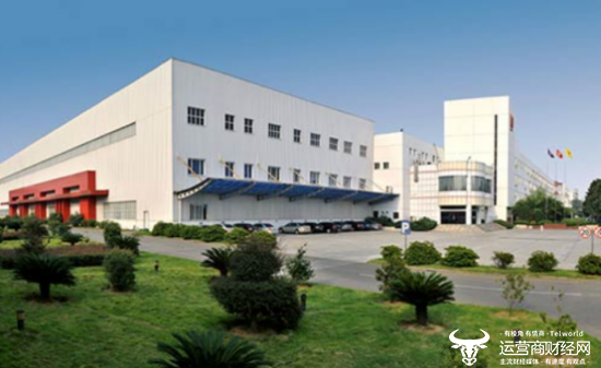 江林汽车的总责任到2024年底为202.45亿元人民币，