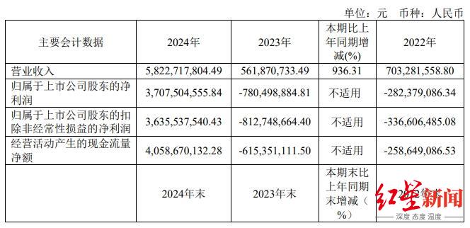 百利天恒2024年营收数据，图源百利天恒2024年年报