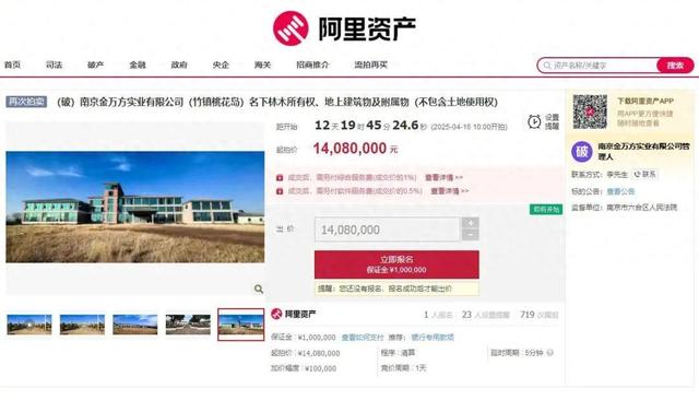 阿里拍卖页面截图