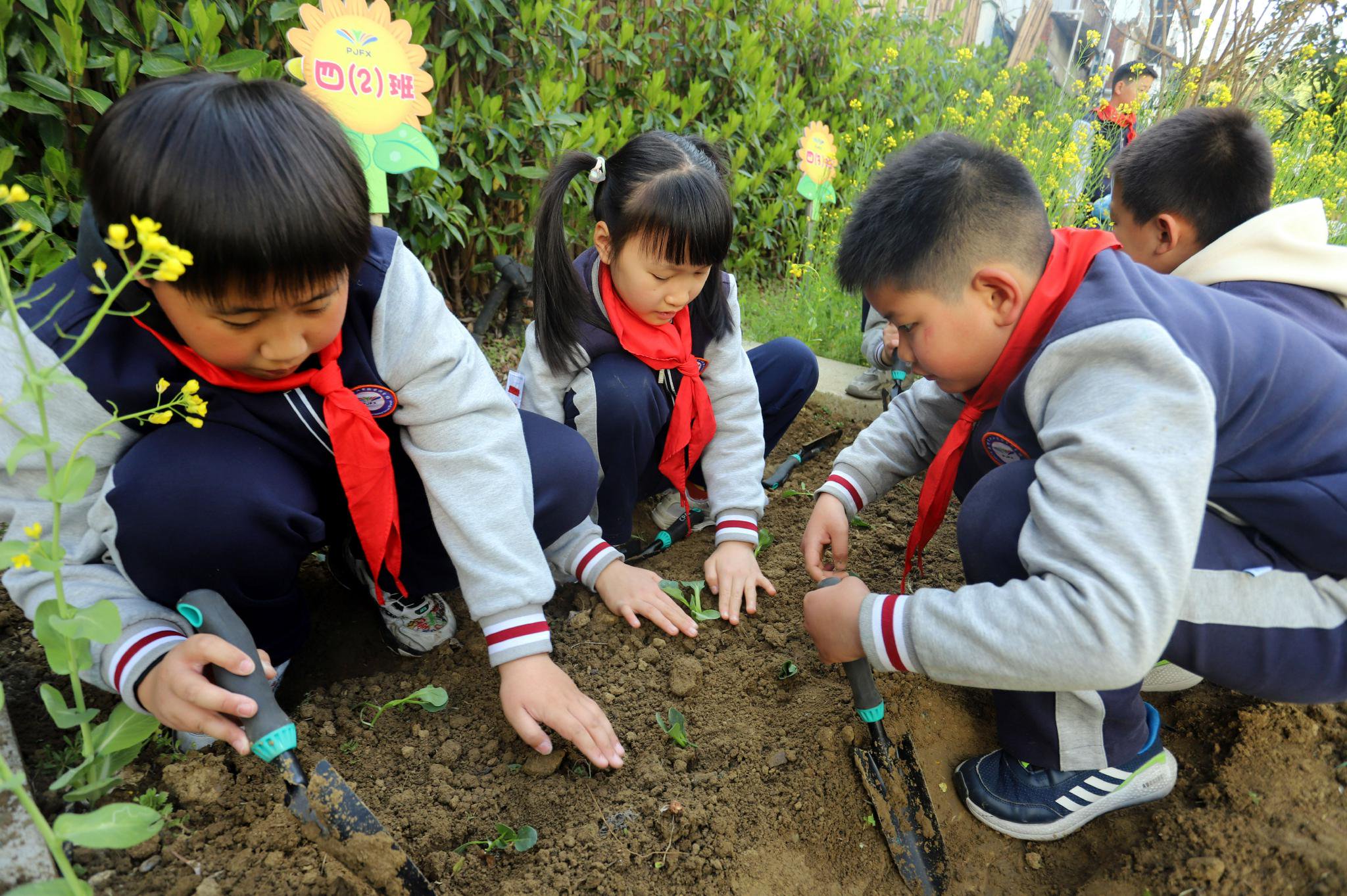 4月2日,江苏省苏州市平江实验学校分校学生在农业专家辅导下亲手体验
