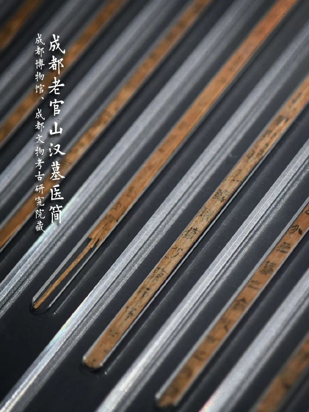 原图提供：视觉中国