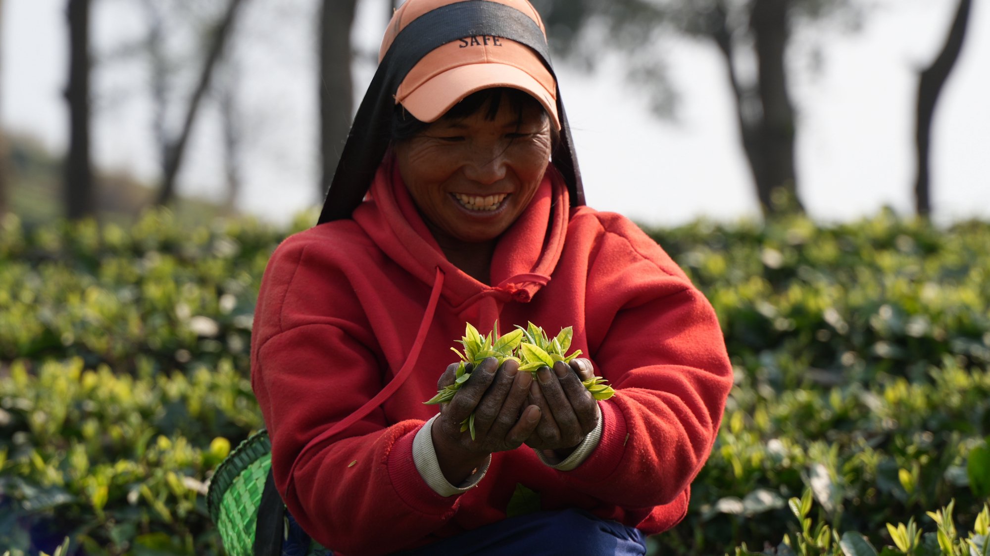 图片来源：企业