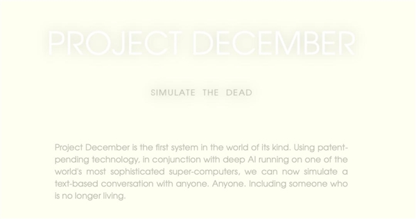 官网散发着简陋又悲伤的气息｜图片来源：Project December 