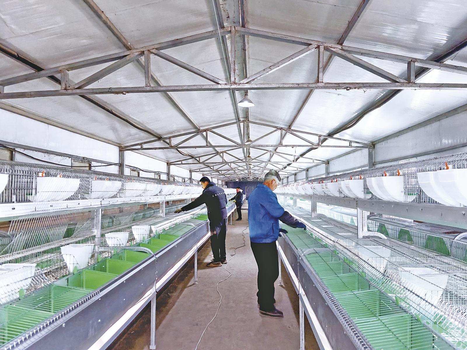 Bet365- Bet365官方网站- Bet365 APP下载中国人寿财险护航特色农产品发展 阳谷朝天椒撑起“火红”产业与“红火”日子