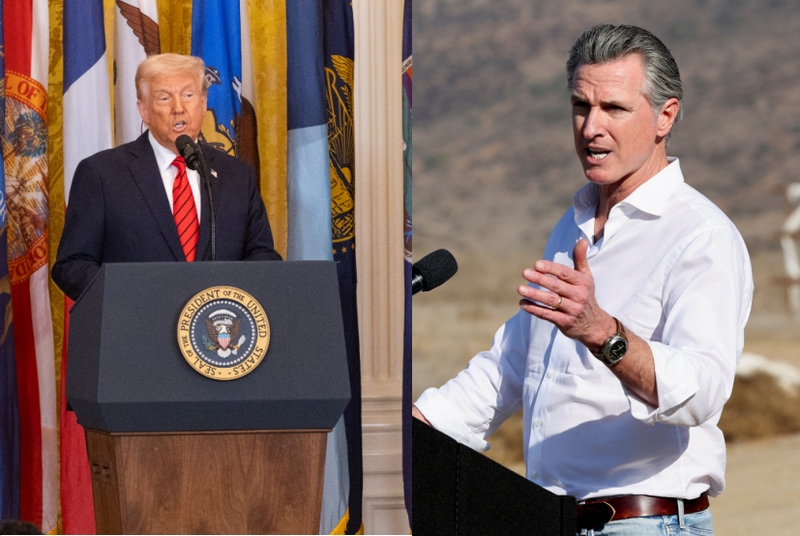 ▲资料图：特朗普与纽森。图/新华社（左）、IC photo（右）