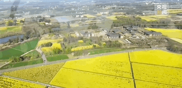 赏花季也为乡村农民增收拓宽渠道。