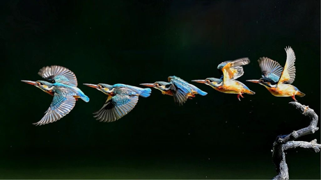 图片来源：视觉中国