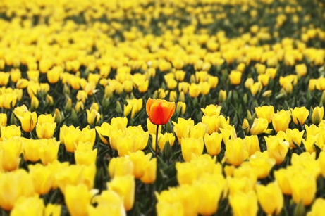 图片来源：视觉中国