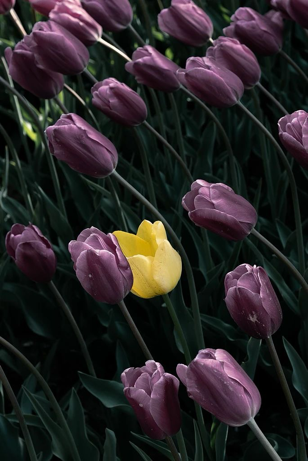 图片来源：视觉中国