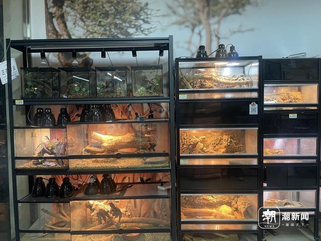 �����������ݡ��ں�����������衣�����ż��� ��� ��