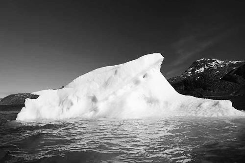 图片来源：Ross Mitchell