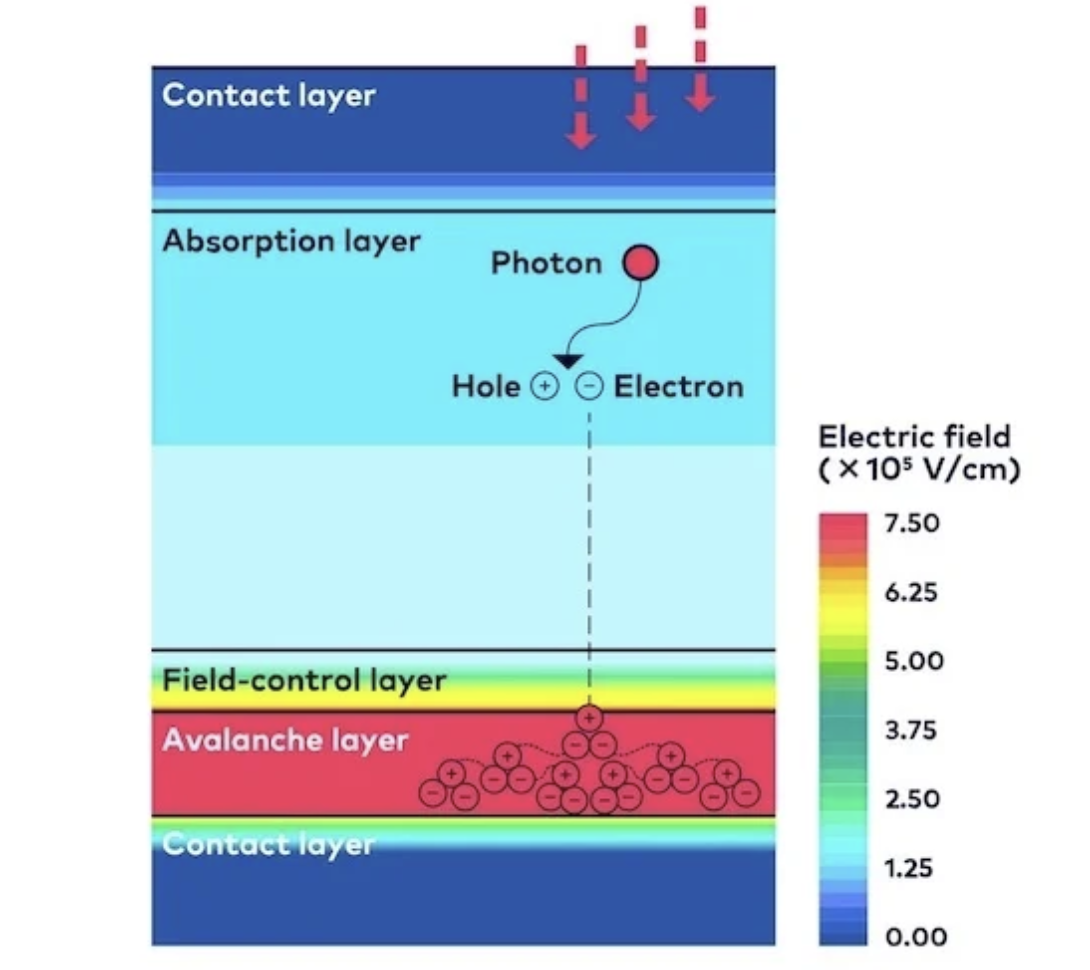 图1. InGaAs APD的工艺结构