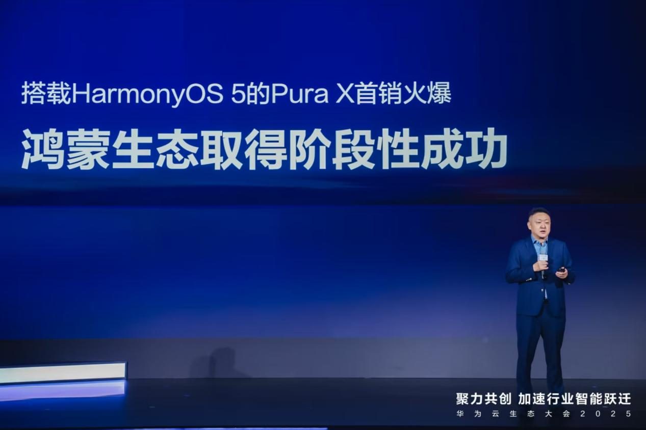 华为终端云服务总裁 朱勇刚